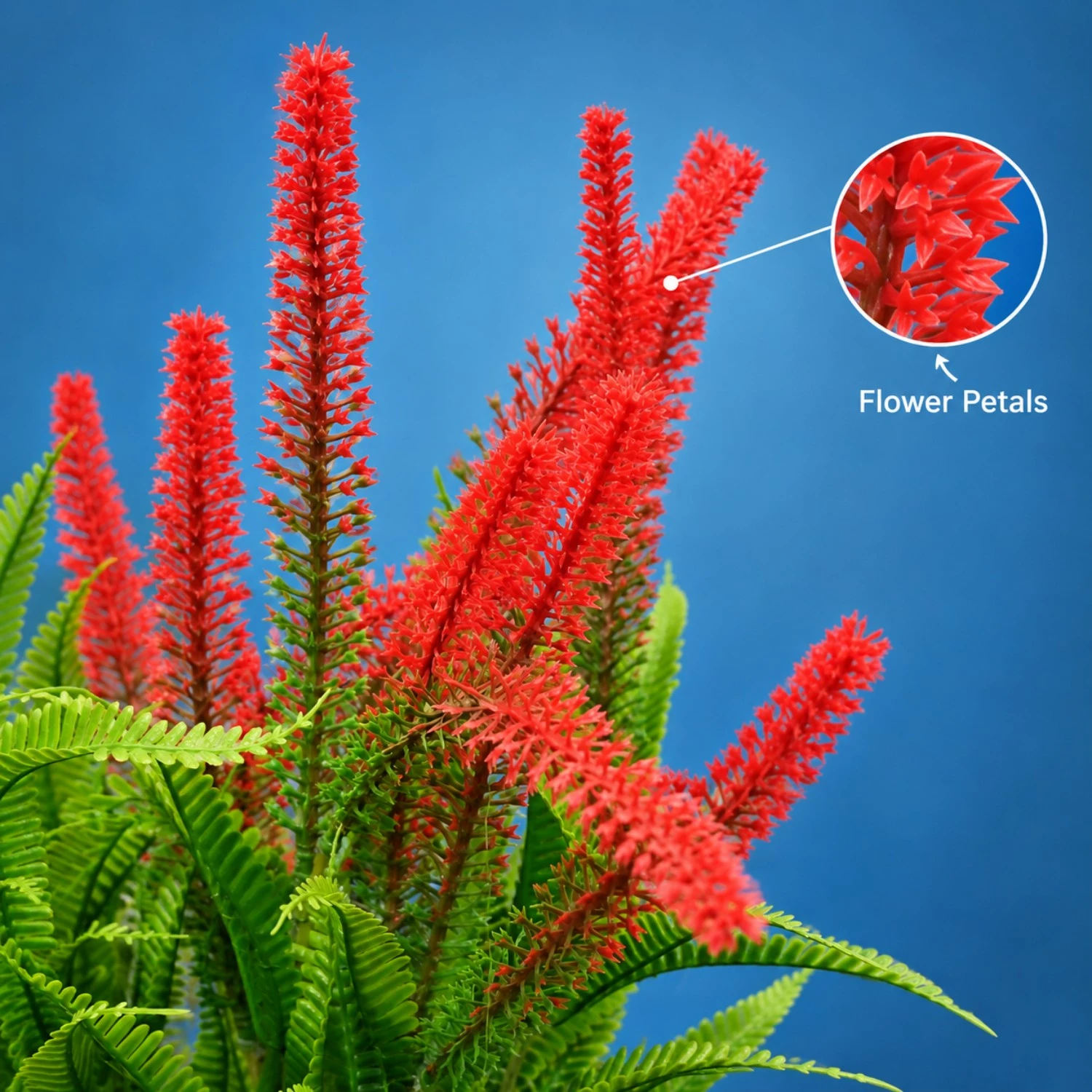 Bold Colour That Never Fades