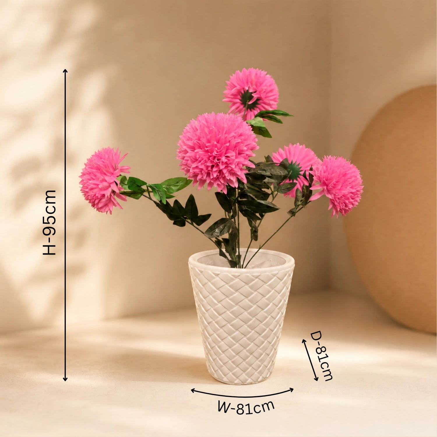 Bring Nature's Charm to Your Space