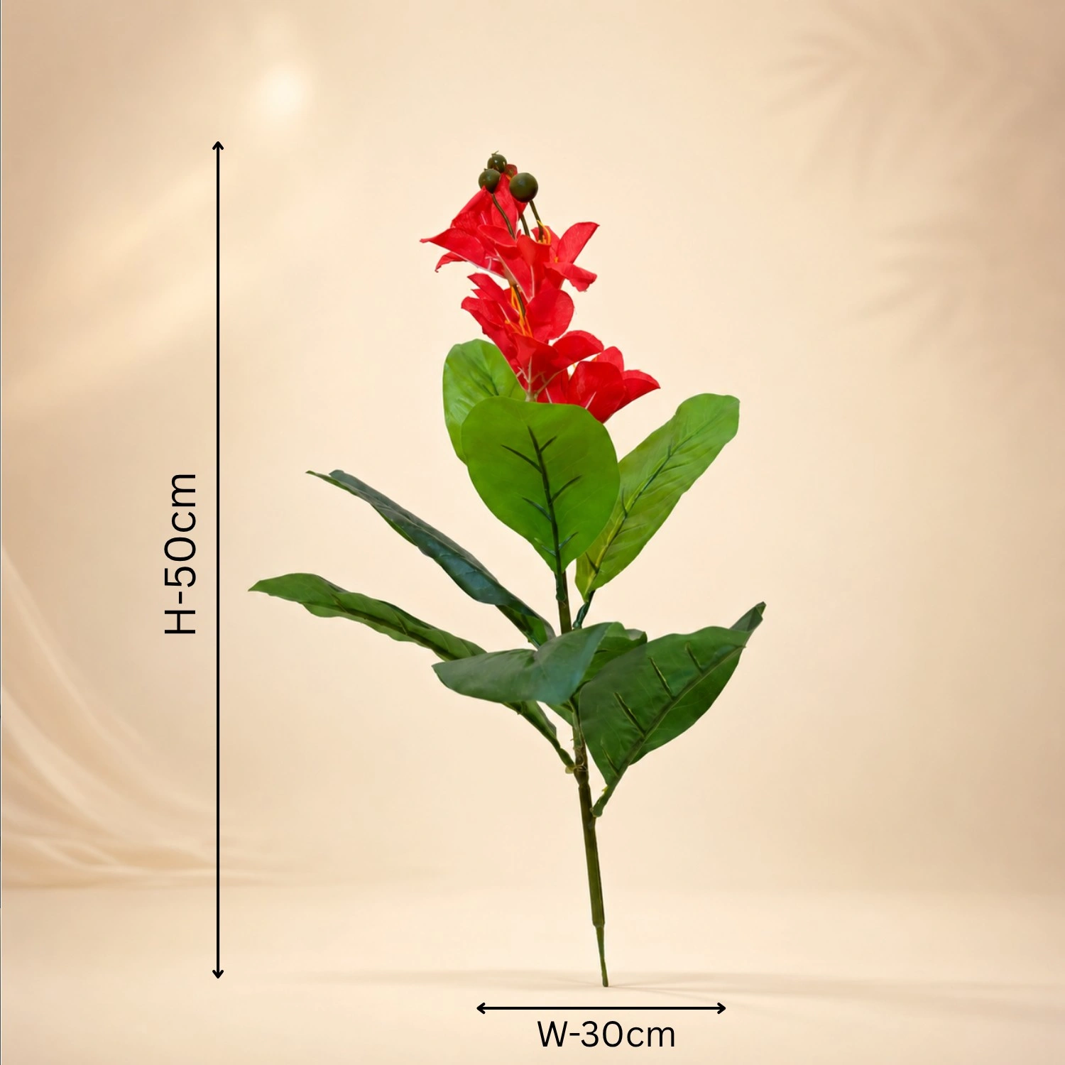 A Bold Red Botanical Accent