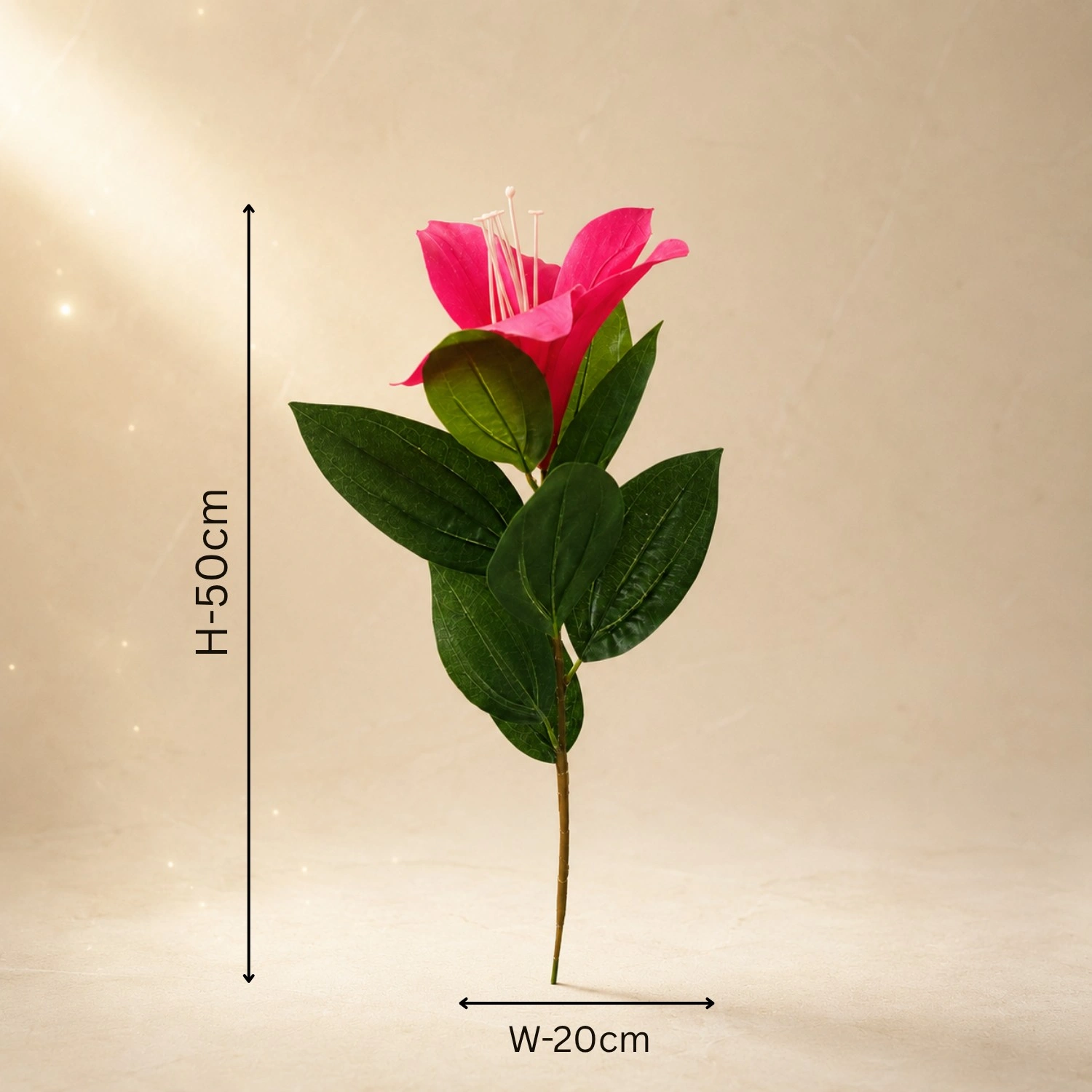 A Vivid Fuchsia Floral Highlight