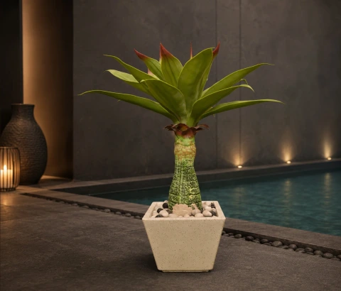 Artificial Bromeliad Plant in Textured Planter