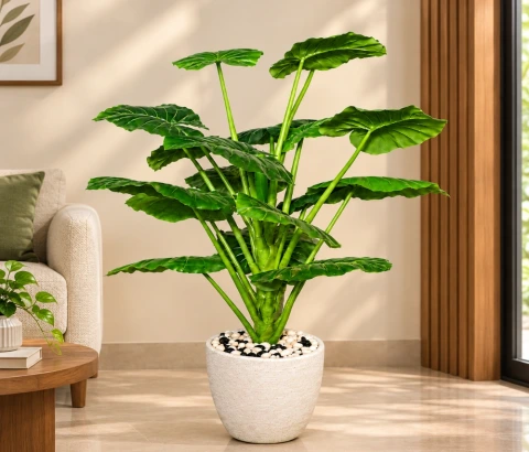 Artificial Alocasia Plant in Woven Pot