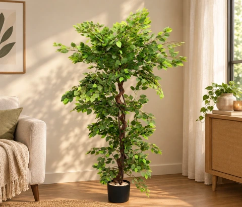 Artificial Ficus Tree with Braided Trunk in Black Pot