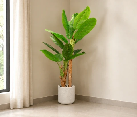Artificial Banana Leaf Plant in Round Pot