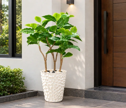 Artificial Broadleaf Fig Tree in Hammered Pot