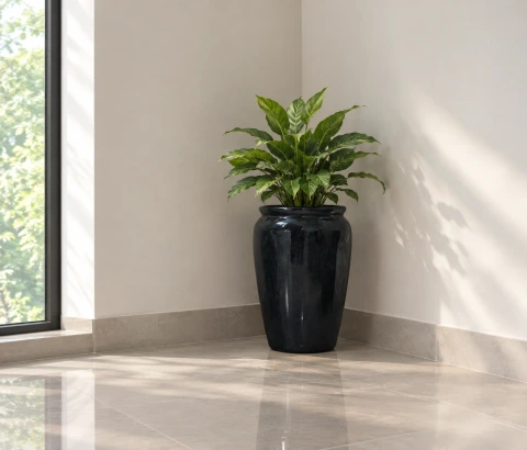 Glossy Black Wide-Rim Decorative Pot